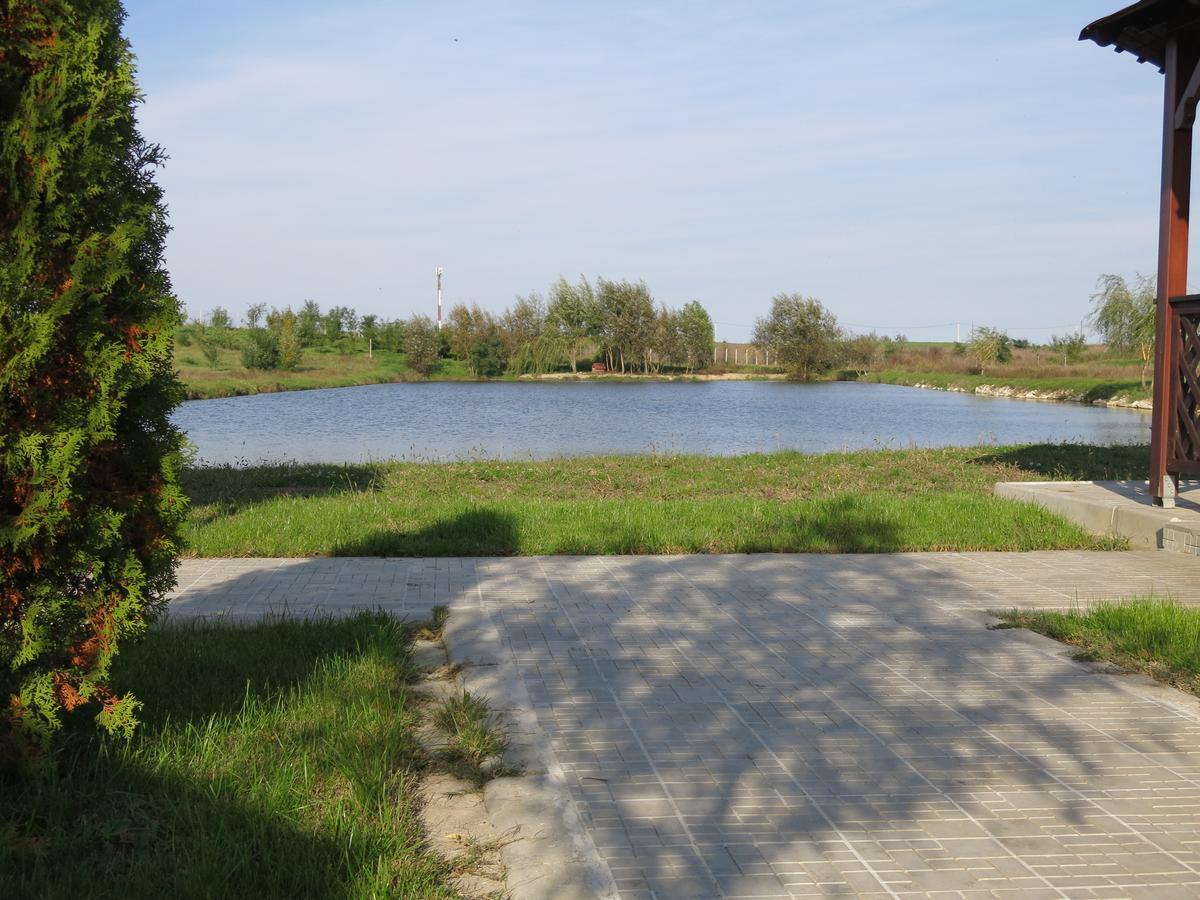 Conacul De Pe Lac Sagu Exterior foto
